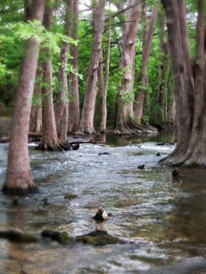 nature 3