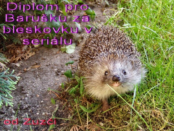 diplom od zuzky