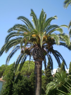 na blog 7