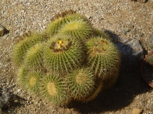 P9040127