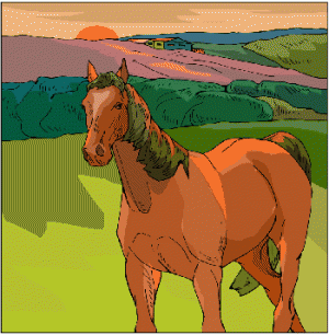 horse