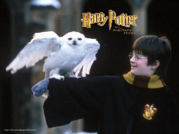 Harry s Hedviko