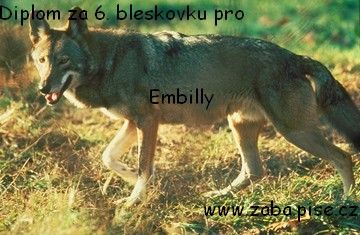 vlk.jpg