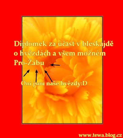 muj diplomek.jp