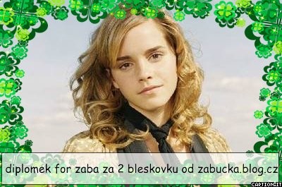 diplomecek.jpg