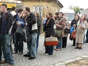 jarn umisovac vstava koek