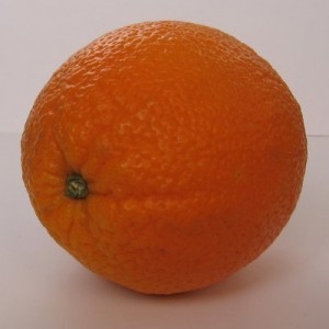 pomeranc 1.jpg