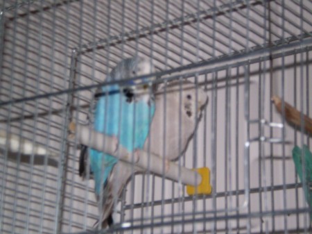 PC200007_01.JPG