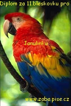 bird - 11